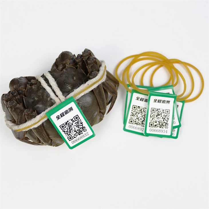 نوار لاستیکی با برچسب قابلیت ردیابی